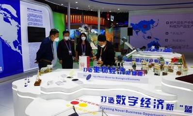 我校數(shù)字文化創(chuàng)意力作驚艷亮相第五屆進(jìn)博會(huì)，彰顯創(chuàng)意設(shè)計(jì)新高度